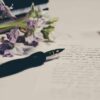letter writing