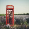 listening writer