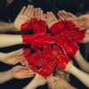 love your freelancer